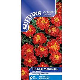 Marigold French Red Brocade - Seeds