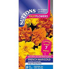 Marigold French Summer Loving Mix - Seeds