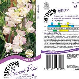 Sweet Pea High Scent - Seeds