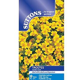 Tagetes tenuifolia pumila Golden Gem - Seeds