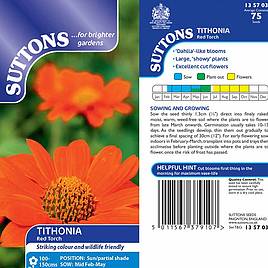 Tithonia Red Torch - Seeds