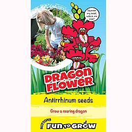 Antirrhinum Seeds - Dragon Flower (Magic Carpet Mix)