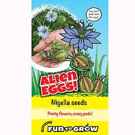 Nigella Seeds - Alien Eggs! (Persian Jewels Mix)