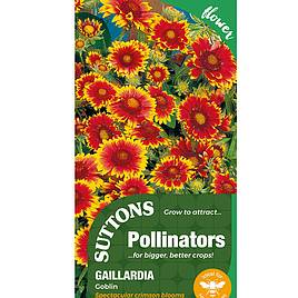 Gaillardia Goblin - Seeds for Pollinators