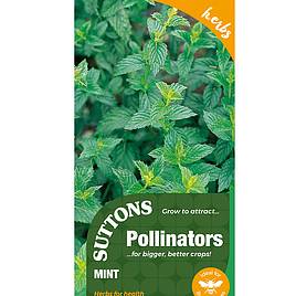 Mint - Pollinator Seeds