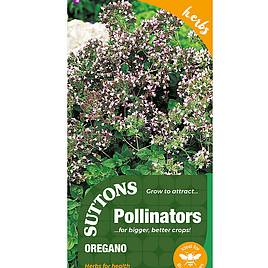 Oregano - Seeds for Pollinators