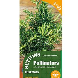 Rosemary - Seeds for Pollinators
