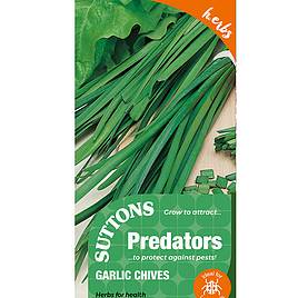 Garlic Chives - Predator Seeds
