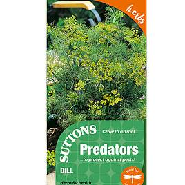 Dill Herb - Seeds