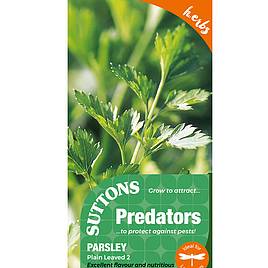 Parsley Plain Leaved 2 - Seeds for Predators
