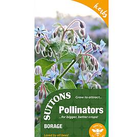 Borage - Herb Seeds
