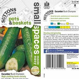 Cucumber Bush Champion - Seeds