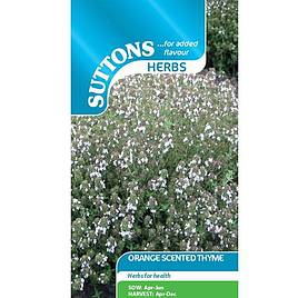 Thyme Orange-Scented - Herb Seeds
