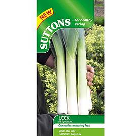 Leek F1 Sprintan - Seeds
