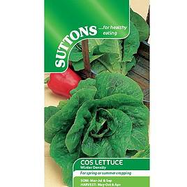 Lettuce Winter Density - Seeds