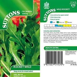Rocket Wild - Seeds