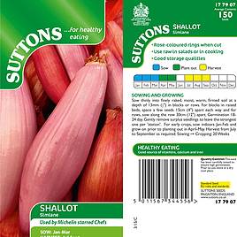 Shallot (Banana) Simiane - Seeds