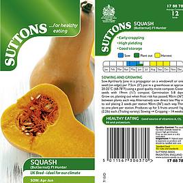Squash F1 Hunter - Seeds