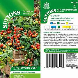 Tomato F1 Lizzano (Determinate) - Seeds