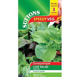 Speedy Veg Seed - Leaf Salad Spicy Mix