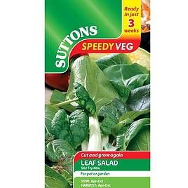 Leaf Salad Stir Fry Mix - Speedy Veg Seeds