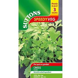 Speedy Veg Seed - Leaf Salad Cress Greek