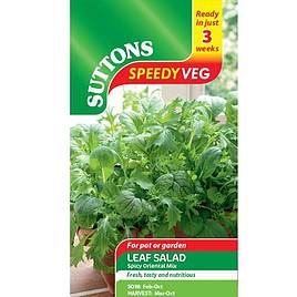 Speedy Veg Seed - Leaf Salad Spicy Oriental Mix