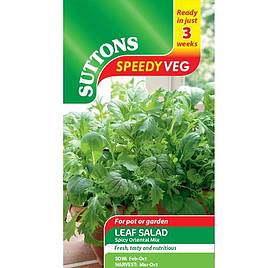 Leaf Salad Spicy Oriental Mix - Speedy Veg Seeds