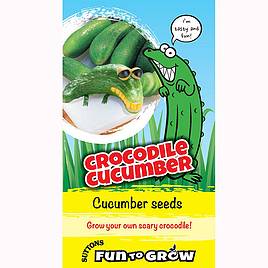 Cucumber Seeds - Crocodile Cucumber (Bush Champion)