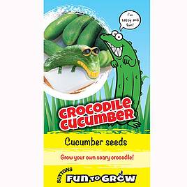 Cucumber Crocodile Cucumber (Bush Champion) - Seeds