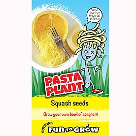 Squash Pasta Plant (Vegetable Spaghetti) - Seeds