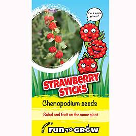 Chenopodium Seeds - Strawberry Sticks