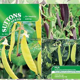 Pea Mangetout Multicoloured Mix - Seeds