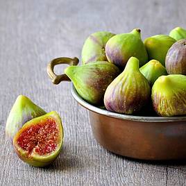 Fig Brunswick