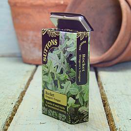 Rocket Dragons Tongue - Seed Tin Collection