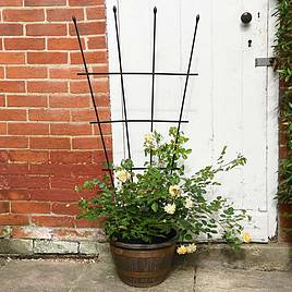 Garden Gear - 1.2-Metre Fan Trellis