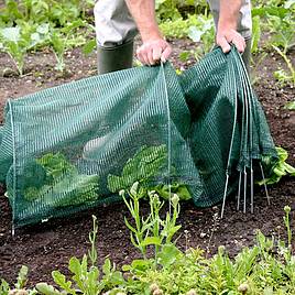 Easy Net Tunnel