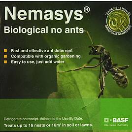 No Ants (Up to 16 Nests)