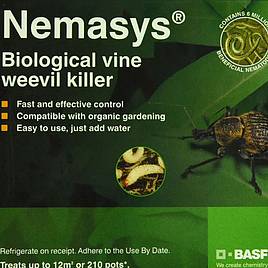 Biological Control - Nematode Vine Weevil Killer 12m² (Spring and Autumn)