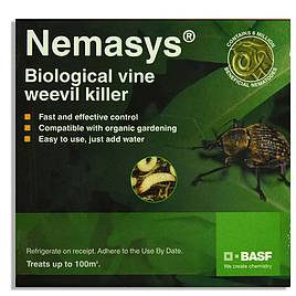 Nematode Nemasys Vine Weevil 100m² (Spring and Autumn)