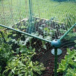 Butterfly Protection Cage