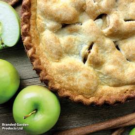 Apple Granny Smith