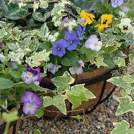 Garden Grow Hanging Basket Liner