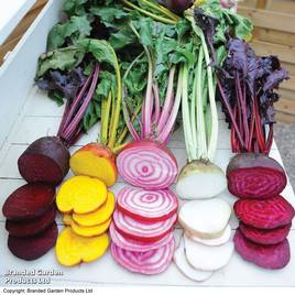 Beetroot Rainbow Mixed