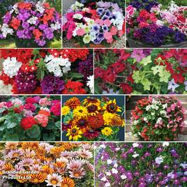Summer Bumper Garden Collection