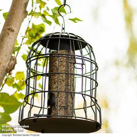 Happy Beaks - Heavy Duty Squirrel Proof Peanut Feeder