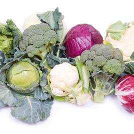 Keep Cropping Brassica Autumn Collection