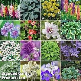 Bulb & Perennial Bumper Pack