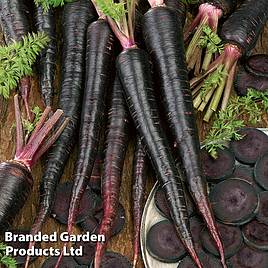 Carrot Black Nebula - Seeds