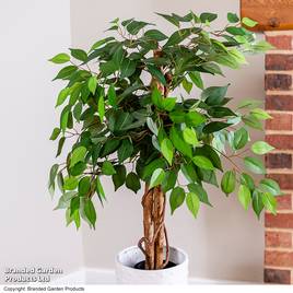 Artificial Ficus Tree